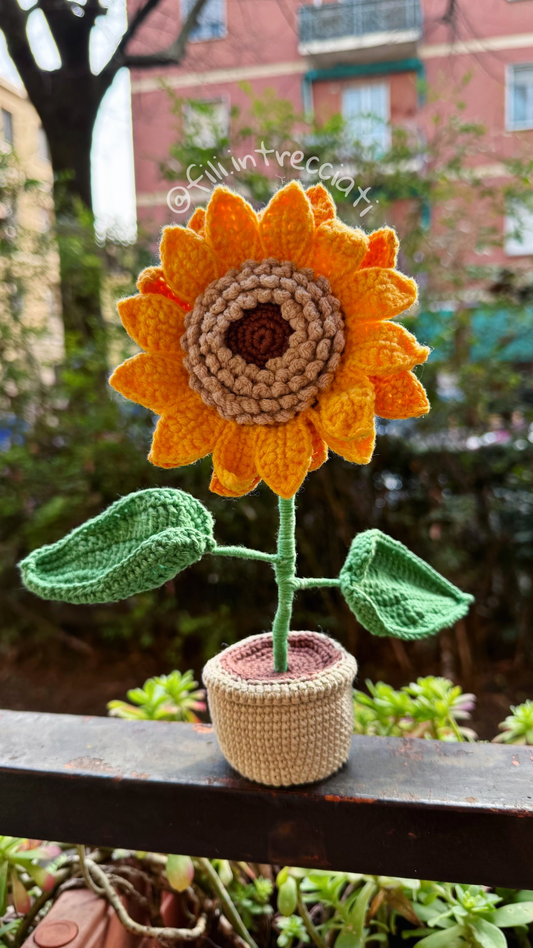 Girasole in Vaso 🌻